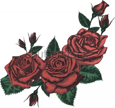 Sticker Schöner Strauß mit roten Rosen. Realistische vektorkunst - rote Rosen auf weißem Hintergrund. - Gestaltungselement für Grußkarte
