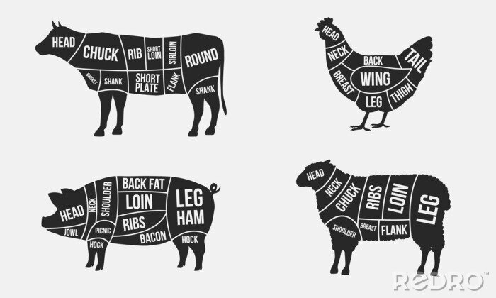 Sticker Schwarz-Weiß-Zeichnung von Fleisch verschiedener Tiere