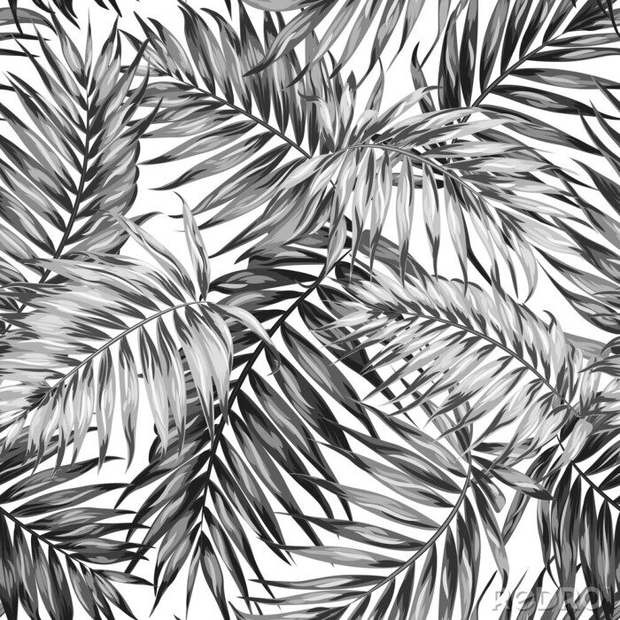 Sticker Schwarz-Weiß-Zeichnung von Palmenblättern