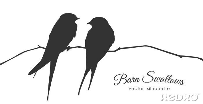 Sticker Schwarz-Weiß-Zeichnung von zwei Vögeln auf einem dünnen Zweig