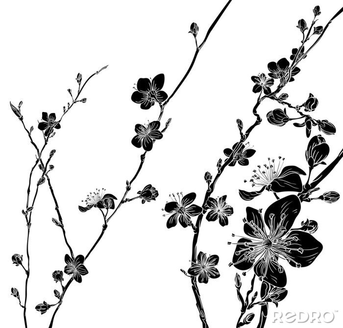Sticker Schwarz-weiße Apfelbaumblüten