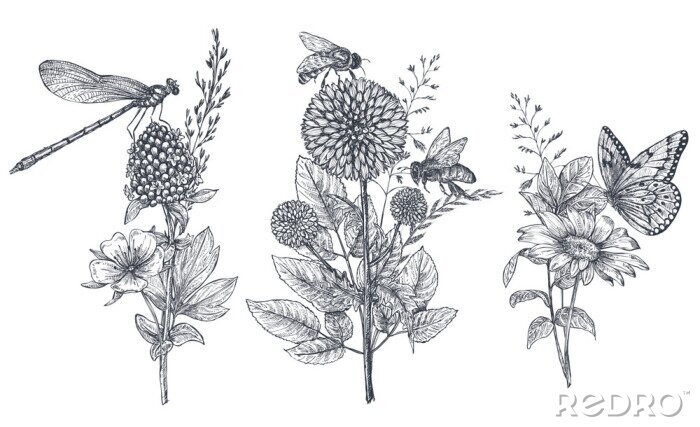 Sticker Schwarz-weiße Blumen und Insekten