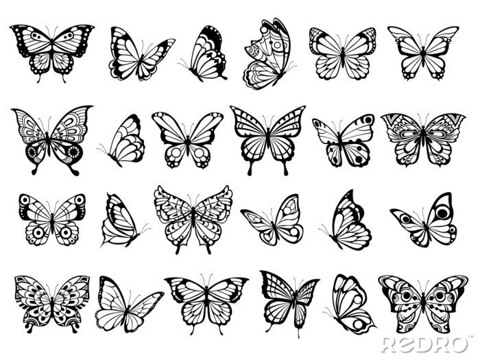 Sticker Schwarz-weiße Grafiken mit verschiedenen Arten von Schmetterlingen