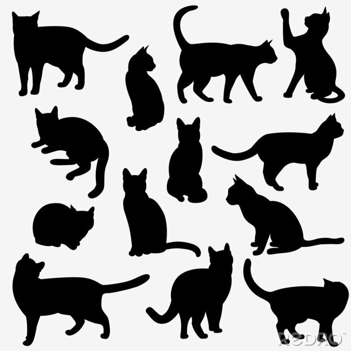 Sticker Schwarz-weiße Katzen in verschiedenen Posen