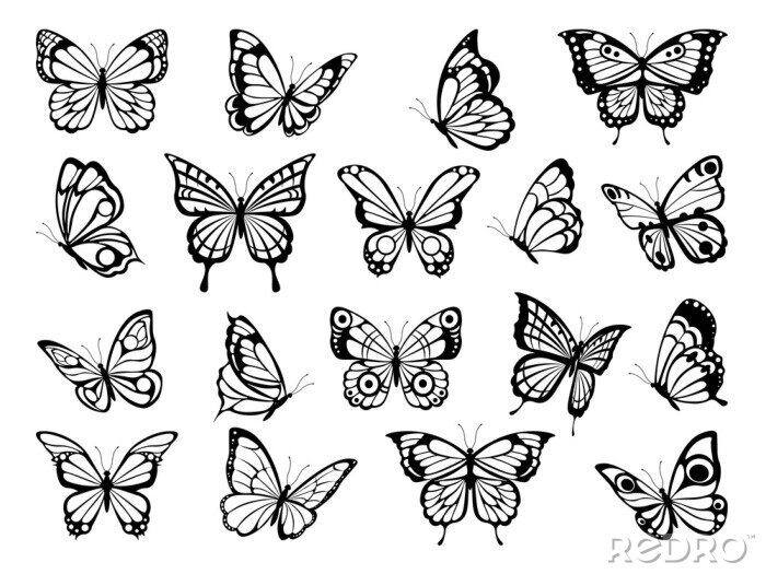 Sticker Schwarz-weiße Konturen verschiedene Arten von Schmetterlingen