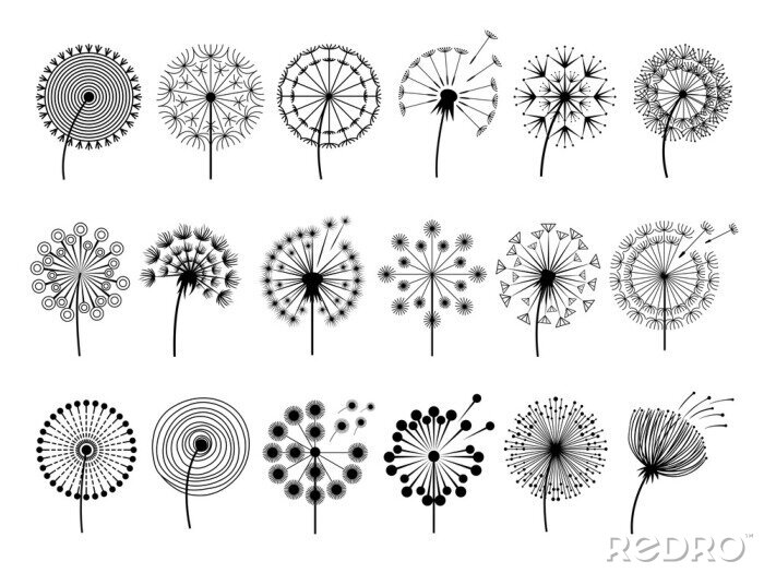 Sticker Schwarz-weiße Pusteblumen verschiedene Muster
