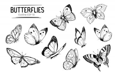 Sticker Schwarz-weiße Schmetterlinge in verschiedenen Formen
