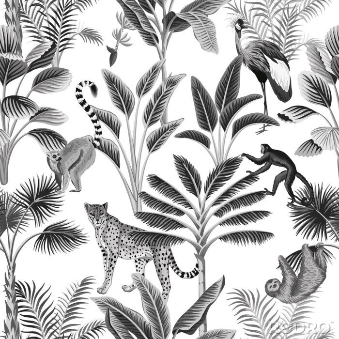 Sticker Schwarz-weiße Tiere auf tropischen Bäumen