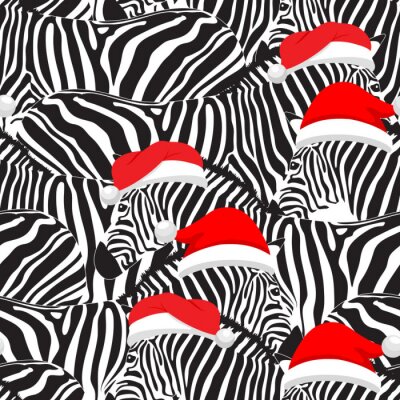 Schwarz-weiße Zebras mit roten Mützen
