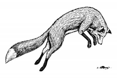Sticker Schwarz-weiße Zeichnung mit einem jagenden Fuchs