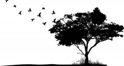 Sticker Schwarz-weiße Zeichnung Vögel großer Baum