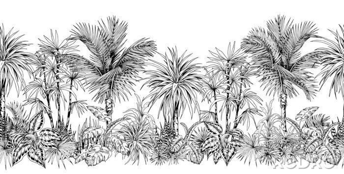 Sticker Schwarz-weißer Dschungel in Skizzenästhetik