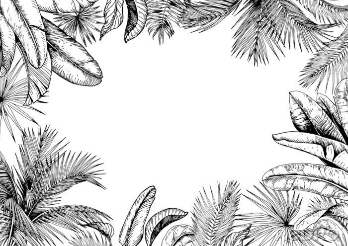Sticker Schwarz-weißer Rahmen mit Blättern von tropischen Pflanzen