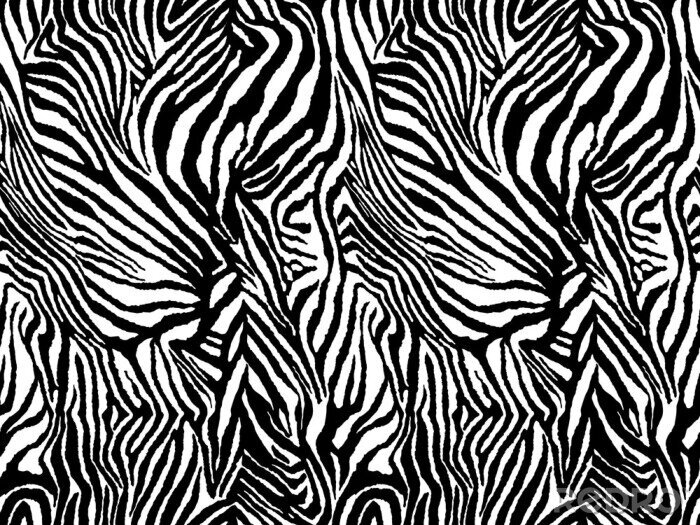 Sticker Schwarz-weißes Zebramotiv