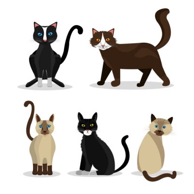 Sticker Schwarze, braune und Bisquit-Katzen in verschiedenen Posen Grafik