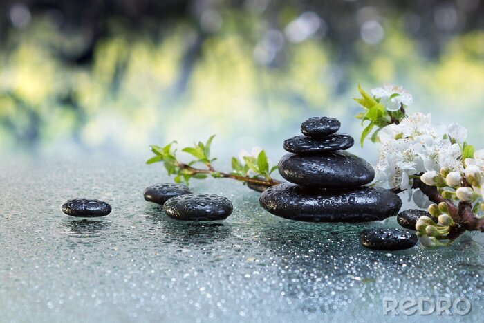 Sticker schwarze Steine und Mandelblüten mit Wassertropfen