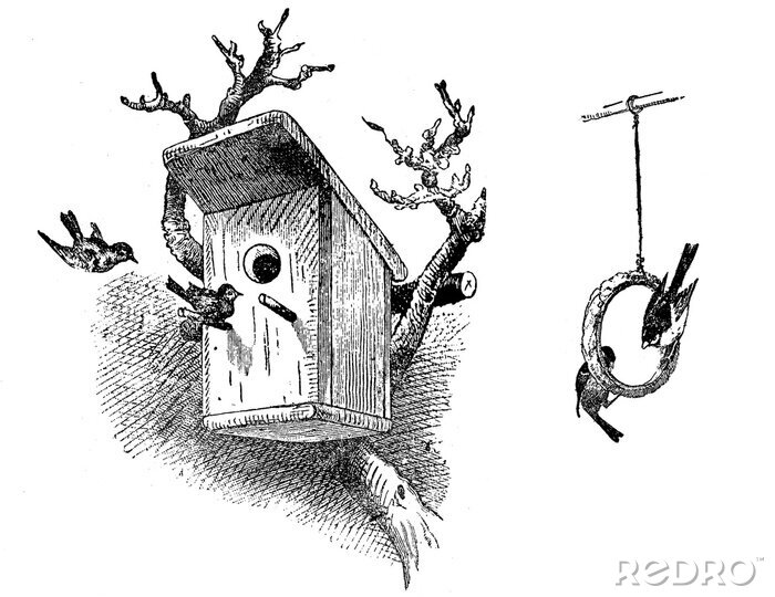 Sticker Schwarze und weiße Vögel im Vogelhaus