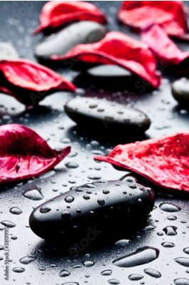 schwarzen Stein mit Wassertropfen und roten Blütenblätter