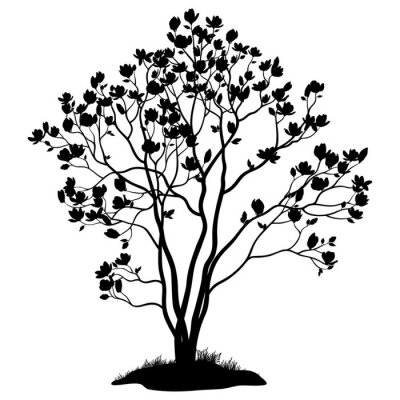 Sticker Schwarzer Umriss mit einem Magnolienbaum