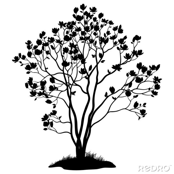 Sticker Schwarzer Umriss mit einem Magnolienbaum