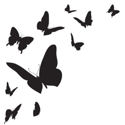 Sticker Schwarzer Umriss von Schmetterlingen auf weißem Hintergrund