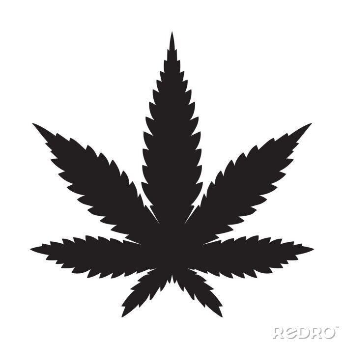 Sticker Schwarzes Marihuana-Blatt auf weißem Hintergrund