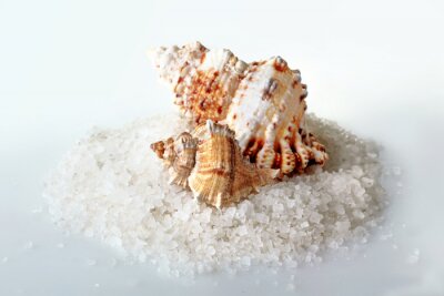 Sticker Seashell auf dem Hügel von Meersalz isoliert auf weißem Hintergrund