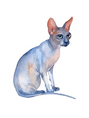 Sticker Seated Blue Sphynx Cat with green eyes looking up. Watercolor illustration.