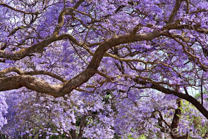 Sticker Sehr schöne Natur