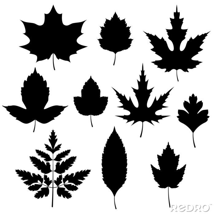 Sticker Set of black autumn leaves silhouettes isolated on white background. Vector illustration.