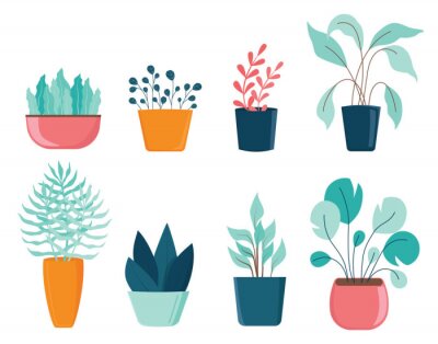Sticker Set of different house plants with green leaves in pots.