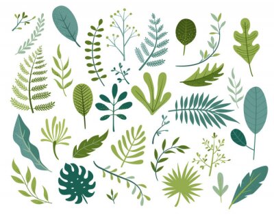 Sticker Set of different tropical and other isolated green leaves. Palm, banana leaf, hibiscus, plumeria, split leaf, philodendron. Jungle collection for your design.Vector illustration.