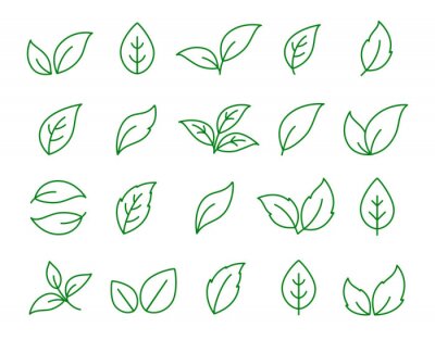 Sticker set of linear green leaf icons on white