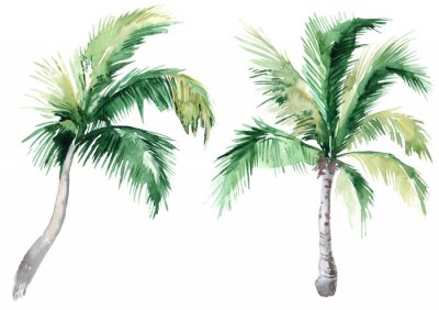 Sticker Set of pictures of hand drawn watercolor palm trees. picturesque image of a palm tree. palm tree on the beach