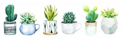 Sticker Set of six potted cactus plants and succulents