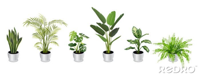 Sticker Set of Tropical Houseplants in White Pots