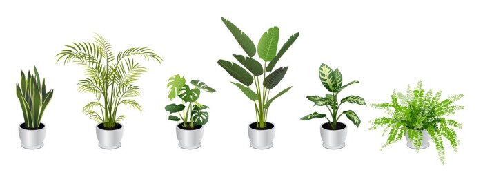 Sticker Set of Tropical Houseplants in White Pots
