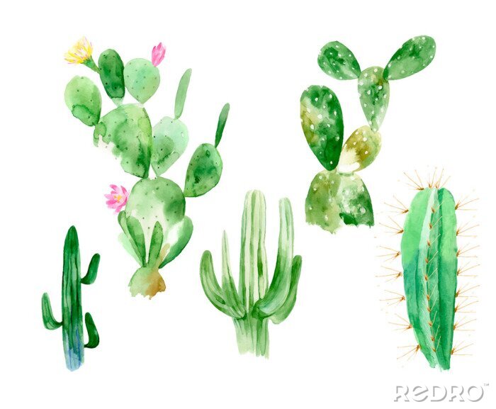 Sticker Set of watercolor cactus illustrations on white background in vector format. Hand drawn blooming plants set for office indoor. Blossom mexican cactus from desert.