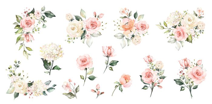 Sticker Set watercolor arrangements with roses. collection garden pink flowers, leaves, branches, Botanic  illustration isolated on white background.