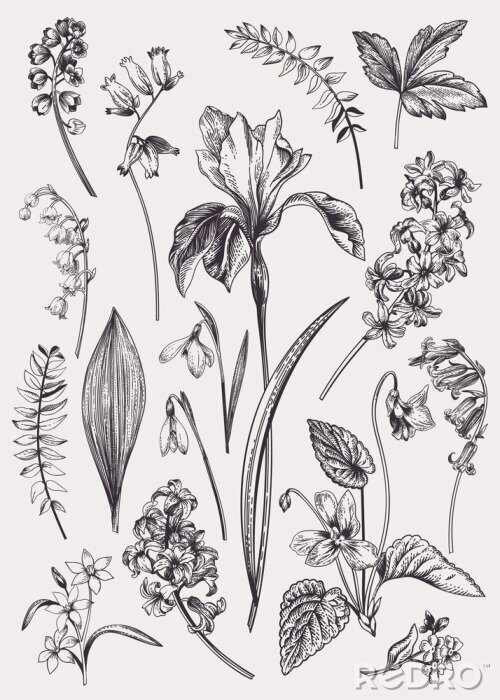 Sticker Set with spring flowers.