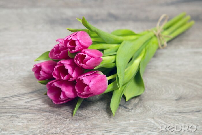 Sticker Sieben rosa Tulpen