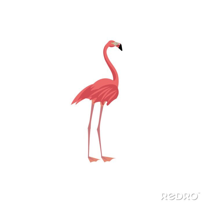 Sticker Silhouette eines Flamingos auf weißem Hintergrund