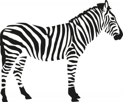 Sticker Silhouette eines Zebras auf weißem Hintergrund