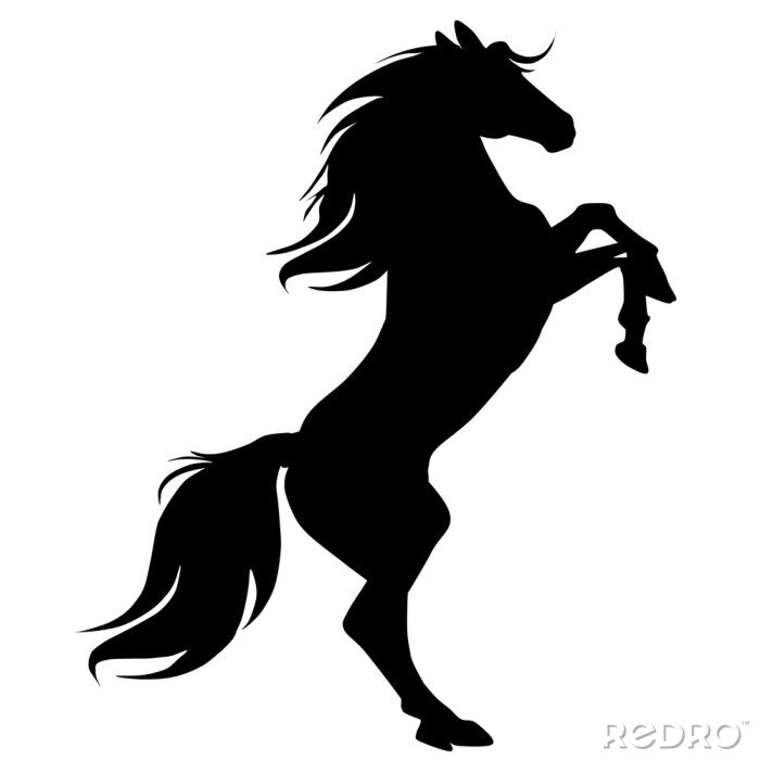 Sticker Silhouetten von Pferden Reitpferd aufrecht stehend