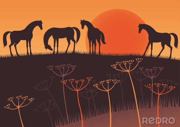 Sticker Silhouetten von Pferden und untergehende Sonne Grafik