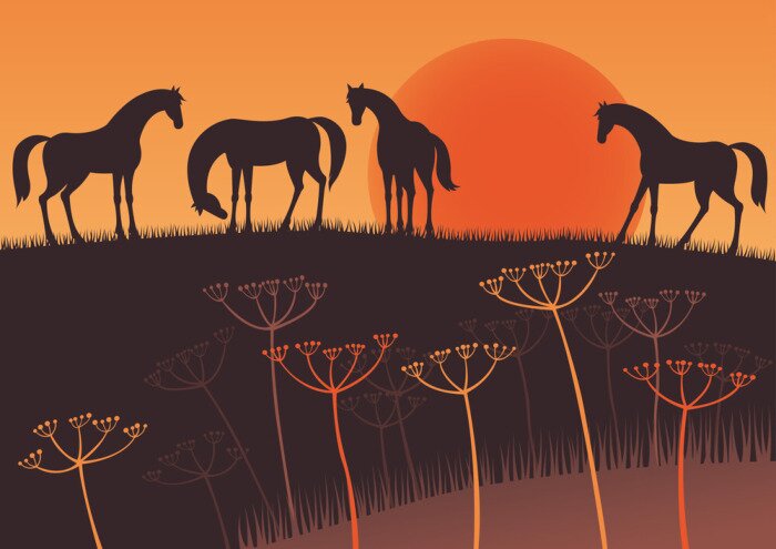 Sticker Silhouetten von Pferden und untergehende Sonne Grafik