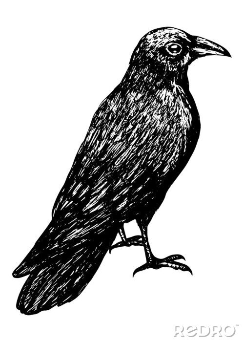 Sticker Skizze mit einem Vogel