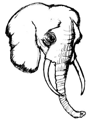 Sticker Skizze mit Elefantenkopf