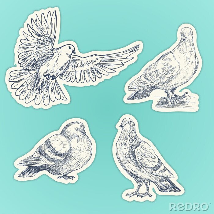 Sticker Skizzen von vier Vögeln