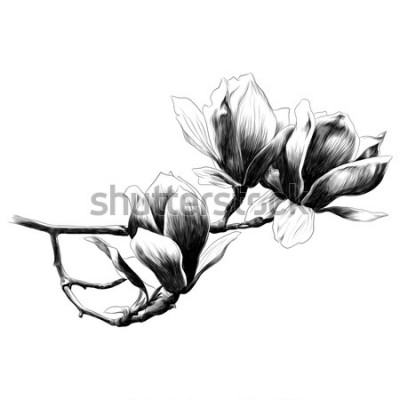 Sticker Skizzierter Zweig mit Blumen